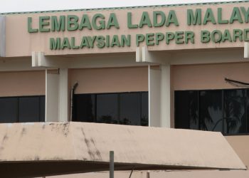 STESEN PENYELIDIKAN LAPANGAN LEMBAGA LADA (MPB) BAKAL MEMPERKUKUH SEKTOR AGRIKOMODITI LADA