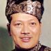 SAMBUTAN HARI SENIMAN NEGARA DITUKAR KE 22 MAC SEMPENA ULANGTAHUN KELAHIRAN TAN SRI P. RAMLEE