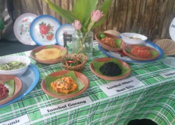 Pesta Citarasa Sambal (TOSFE) memeriahkan Festival Permainan Malaysia di Dataran Merdeka